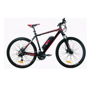 MOUNTAIN BIKE ELETTRICA  21 VELOCITÁ